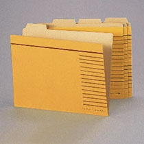 ライオン事務器 カットフォルダー A4判 A4-4F-R-20P 1パック(20冊)