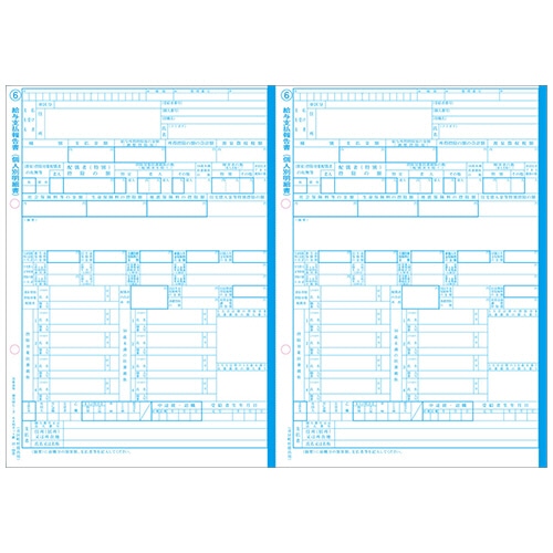 日本法令 給与支払報告書(給与所得の源泉徴収票付) A4判カット紙 令和6年提出用(令和5年分) 地方MC-3C-R05 1冊(30セット)