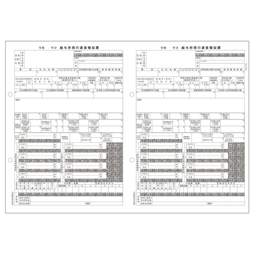 ＰＣＡ　ＰＡ１１３４ＧＡ　電子申告用源泉徴収票（令和６年分）　単票用紙レーザープリンタ用　１００名入　ＰＡ１１３４ＧＡＲ０６　１冊（５０枚）