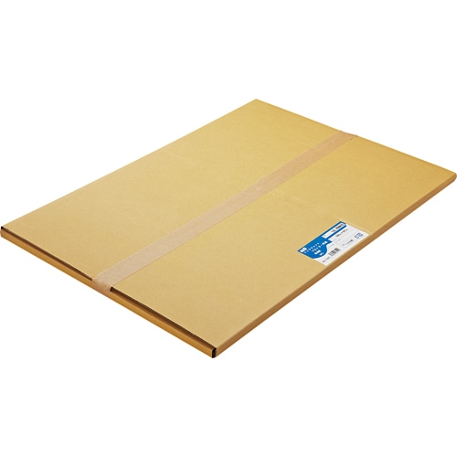 TANOSEE 普通紙 A2カット 420×594mm 1箱(100枚)