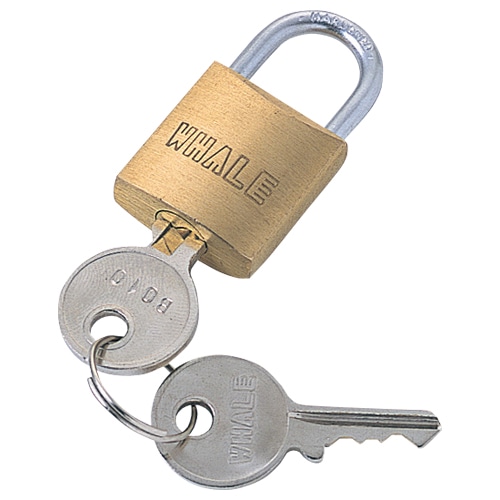 サンワサプライ eセキュリティ 南京錠小 鍵No.5 SLE-2L-5 1個