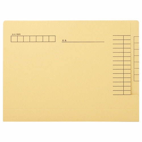 ライオン事務器 カルテフォルダー ペーパータイプ A4 KF-1K-50P 1パック(50冊)