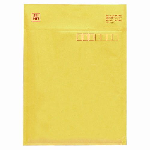 マルアイ ワンタッチセーフパック 一般書籍等用 内寸210×255mm SP-TM130 1パック(10枚)