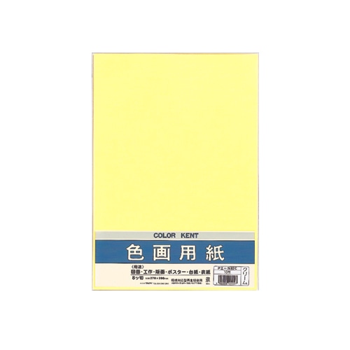 マルアイ 色画用紙 八ツ切 クリーム Pエ-N82C 1パック(10枚)