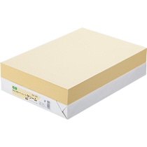 TANOSEE αエコカラーペーパーII B4 クリーム 1冊(500枚)