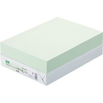 TANOSEE αエコカラーペーパーII A4 ライトグリーン 1冊(500枚)