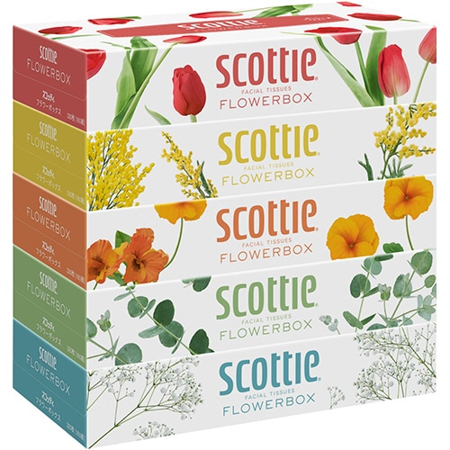 日本製紙クレシア スコッティティシューフラワー 160組/箱 1パック(5箱)