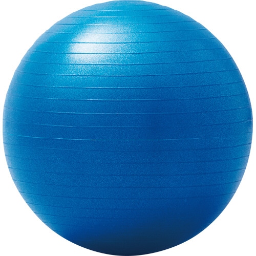 羽立工業 大きいバランスボール 55cm NH3031 1個