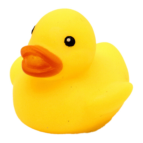 オオイシ　小物玩具　うきうきアヒル　大　００５９７５２８５　１パック（１２個）