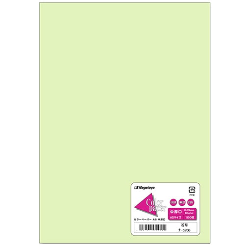 長門屋商店 Color Paper A5 中厚口 若草 ナ-5206 1冊(100枚)