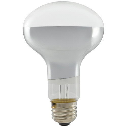 オーム電機 屋内用 長寿命レフランプ E26口金 100W LB-LR8600-FLL 1個