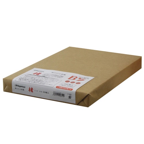 長門屋商店 マルチOA和紙 B5 楮入奉書 白 ナ-851 1冊(250枚)