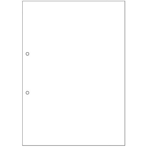 ヒサゴ マルチプリンタ帳票 複写タイプ A4 ノーカーボン 白紙 2穴 BPC2001 1冊(100枚)