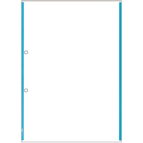 ヒサゴ マルチプリンタ帳票 複写タイプ A4 ノーカーボン ブルーライン 2穴 BPC2200 1冊(100枚)