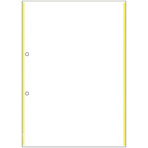 ヒサゴ マルチプリンタ帳票 複写タイプ A4 ノーカーボン イエローライン 2穴 BPC2201 1冊(100枚)