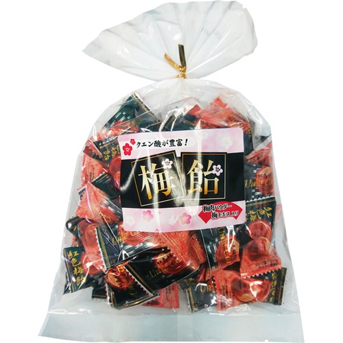 日進医療器 おいしいのど飴 梅 210g 1パック