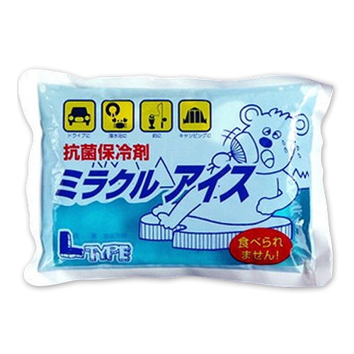 菱屋 ミラクルアイス L 500g 1個