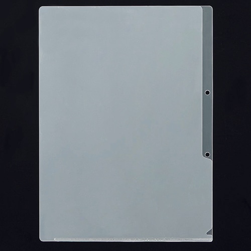 ニックス 2穴クリアホルダー A4 厚さ0.2mm MS-2-A4 1パック(10枚)