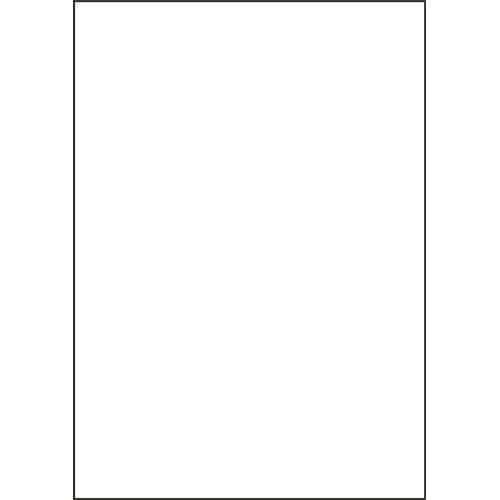 ヒサゴ マルチプリンタ帳票 複写タイプ A3 ノーカーボン 白紙 BPC3000 1冊(100枚)