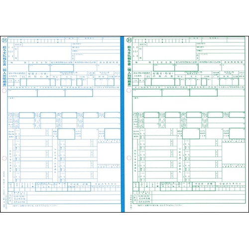日本法令 給与支払報告書(源泉徴収票付) A4判カット紙 平成31年提出用(30年分) 地方MC-3C-30 1冊(30セット)