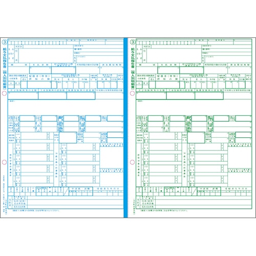 日本法令 給与支払報告書(給与所得の源泉徴収票付) A4判カット紙 令和3年提出用(令和2年分) 地方MC-3C-R02 1冊(30セット)