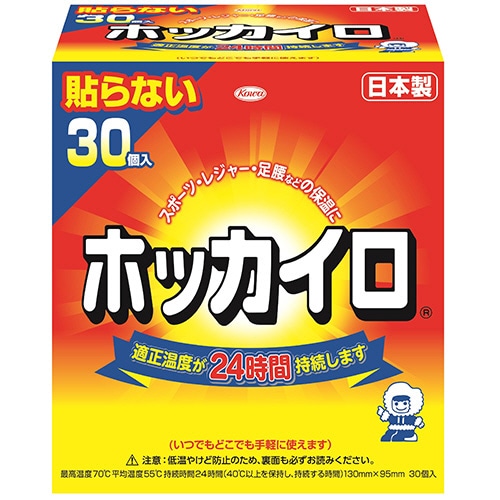興和 ホッカイロ 貼らないタイプ レギュラー 1箱(30個)