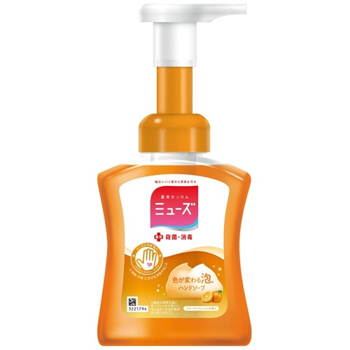 レキットベンキーザー・ジャパン 泡ミューズ フルーティフレッシュ 本体 250ml 1個