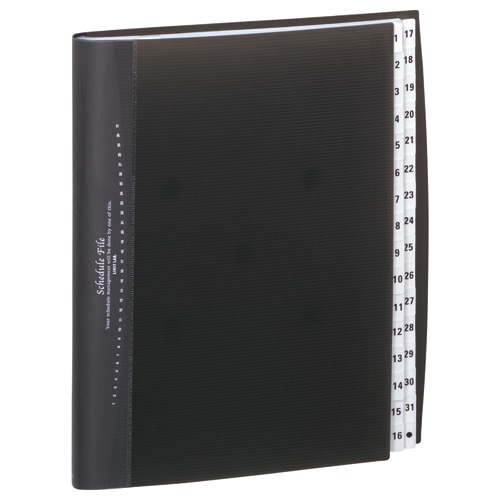 リヒトラブ スケジュールファイル A4タテ 31仕切 黒 A-4400-24 1冊