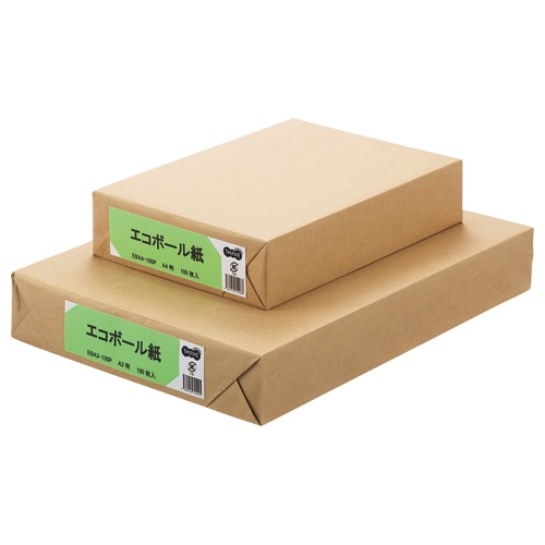 TANOSEE エコボール紙 A3 450g/m2 1パック(100枚)