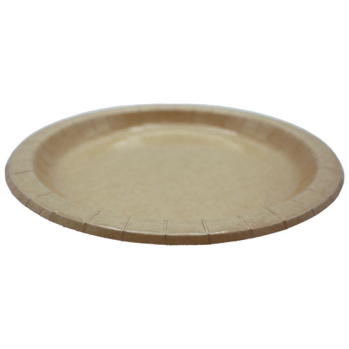 ペーパーウェア　竹パルプペーパープレート　２２ｃｍ　ＴＰ－９Ｒ　１パック（５０枚）