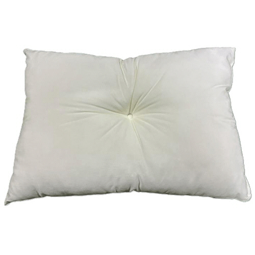 イケヒコ・コーポレーション　ウォシャブル枕　ヌードタイプ　３５×５０ｃｍ　１個