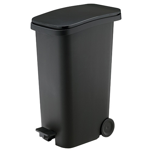 リス スムース ペダルダストボックス31 ブラック DS-980-031-7 1台