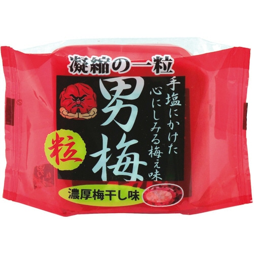 ノーベル 男梅粒 14g 1袋