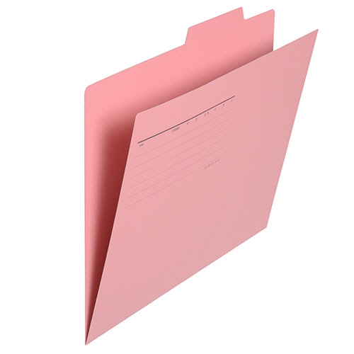 プラス 個別フォルダー A4 ピンク FL-061IF 1セット(10冊)