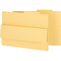 ライオン事務器 持出しフォルダー A3 クリーム A3-APF 1セット(10冊)