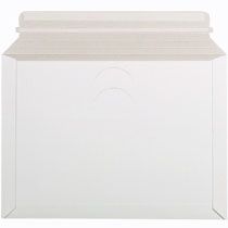 TANOSEE ビジネス封筒 角2 330×240mm 310g/m2 1セット(100枚:25枚×4パック)