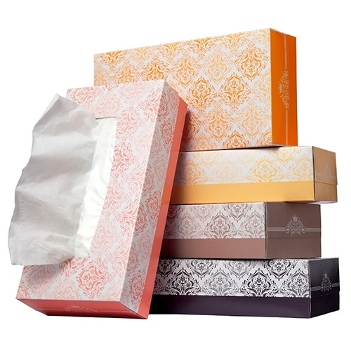 TANOSEE ティッシュペーパー Luxuria 160組/箱 1セット(60箱:5箱×12パック)