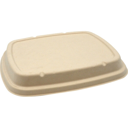 パックスタイル BB竹バガス弁当 N24-20F 共蓋 245×205×高さ18mm 1パック(50枚)