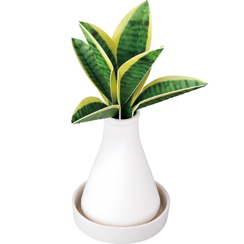 グローバルプロダクトプランニング ス・ポット 観葉加湿器 サンセベリア 1個