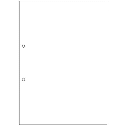 TANOSEE マルチプリンタ帳票(スーパーエコノミー) A4 白紙 2穴 1セット(500枚:100枚×5冊)