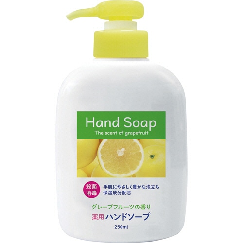 第一石鹸 薬用ハンドソープ 本体 250mL 1セット(24個)