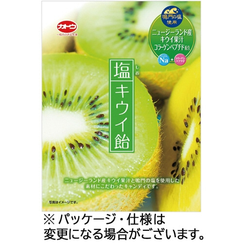 加藤製菓 塩キウイ飴 58g/パック 1セット(10パック)