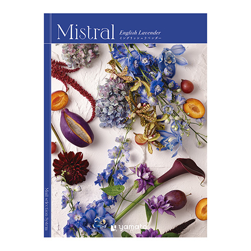 カタログギフト Mistral English Lavender(イングリッシュラベンダー)