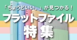 フラットファイル特集