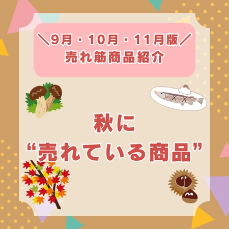 9月・10月・11月版　売れ筋商品紹介